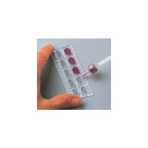 Alltrista Plastics LLC 87157 - Kova® Glasstic® Slide 10 Urinalysis Microscope Slide - 50/Pack