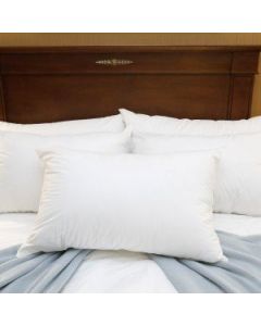 Royal Blue Intl ID65S - Royal Blue International Bed Pillow - Dozen